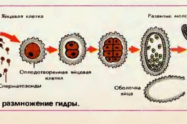 Кракен даркнет регистрация